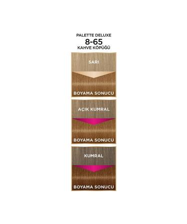 Palette Deluxe Hair Dye No: 8.65 Coffee Foam - Buy Online on GoSupps.com