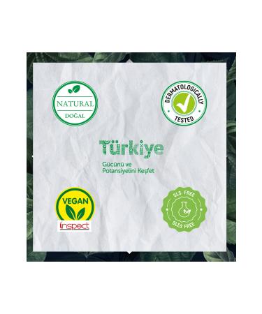 Agarta 2 Pieces Garlic Shampoo Against Hair Loss 400 ml - Buy Online on GoSupps.com