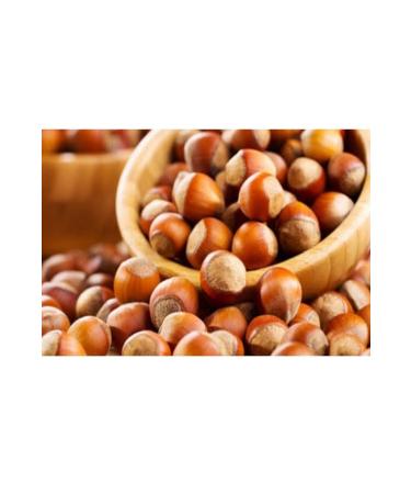 SUMMO Hazelnut Flavored Coffee Pod 36 pcs - Buy Online on GoSupps.com