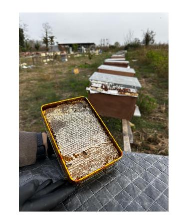 TATBEE COMB HONEY (1 Kg)