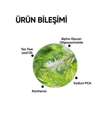 mineaderm Tea Tree Face and Body Wash - Buy Online on GoSupps.com