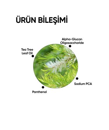 mineaderm Anti-Acne and Sebum Regulating Cleansing Gel/tea Tree Face Wash - Buy Online on GoSupps.com