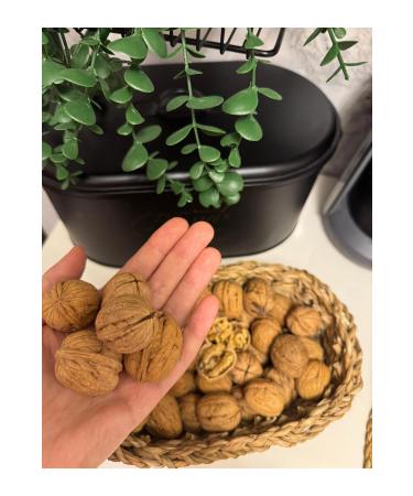 tu bakip Thin Shelled Yayla Walnut (New Crop) 8 Kg - Buy Online on GoSupps.com