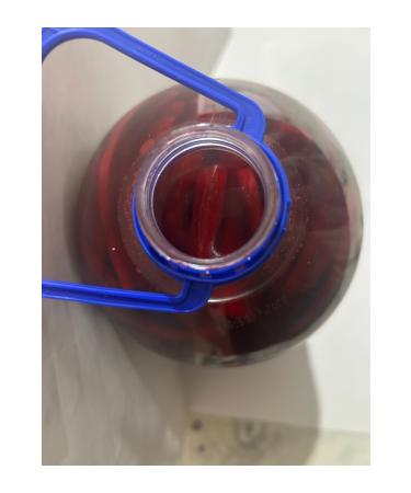 Your Village House Local Cuisine Village House Organic Homemade Spicy Adana Turnip Juice 5 Liters - Buy Online on GoSupps.com