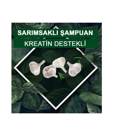 Agarta 2 Pieces Garlic Shampoo Against Hair Loss 400 ml - Buy Online on GoSupps.com