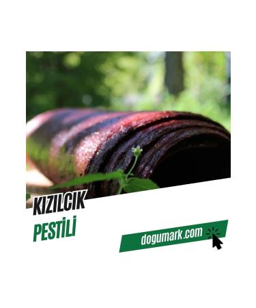 DoguMark Cranberry Fruit Pulp (1 Kg)