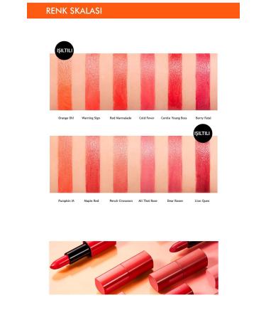 Missha Intense Pigment Nourishing Moisture Finish Lipstick Dare Rouge Sheer Sleek (05Gentle Young Bos) - Buy Online on GoSupps.com