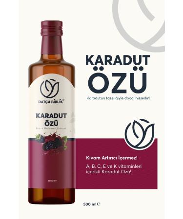 DATCA BIRLIK Magnificent Trio Apple Linden Vinegar Black Mulberry Extract Bromelain Syrup - Buy Online on GoSupps.com