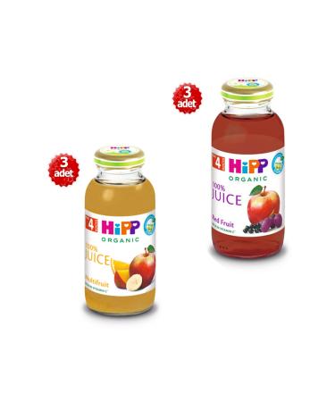 Hipp Organic x 6 Bottles Mixed Fruit Juice 200m