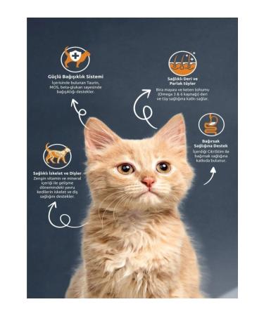 Reflex Reflex Kitten Chicken Rice Chicken Rice Cat Food 2Kg X 3Pack - Buy Online on GoSupps.com