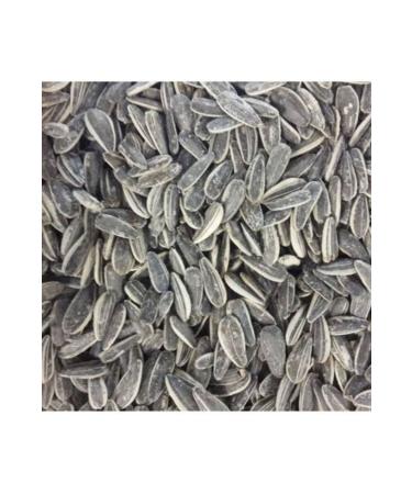 TALAS Nuts Salted Roasted Sunflower Seeds 3 KG