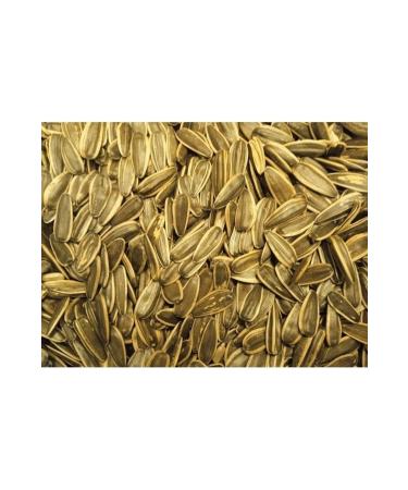 TALAS Nuts Roasted Sunflower Seeds 2 KG