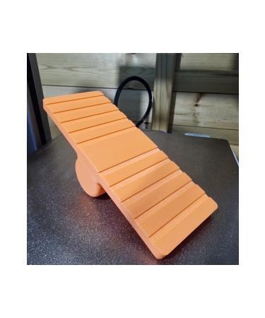 ip technology3d hamster