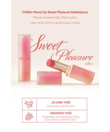 CLIO Soft Textured Light Matte Appearance Lipstick CLIO Chiffon Mood Lip (08 Tangerine Tarte) - Buy Online on GoSupps.com