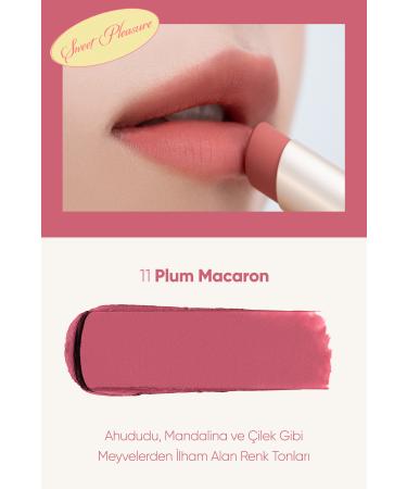 CLIO Soft Textured Light Matte Lipstick CLIO Chiffon Mood Lip (11 Plum Macaron) - Buy Online on GoSupps.com