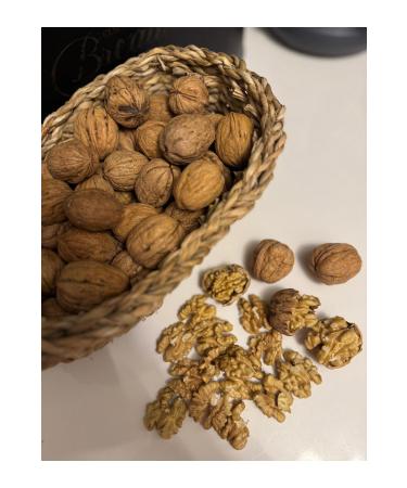 tu bakip Thin Shelled Yayla Walnut (New Crop) 8 Kg - Buy Online on GoSupps.com