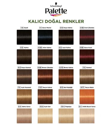 Palette Permanent Natural Colors Hair Dye No: 4.60 Light Chocolate Brown - Buy Online on GoSupps.com
