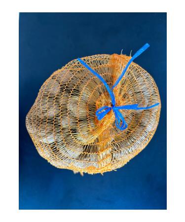 B Y KTEKE AGRICULTURE WALNUT LUXURY 4KG - Buy Online on GoSupps.com