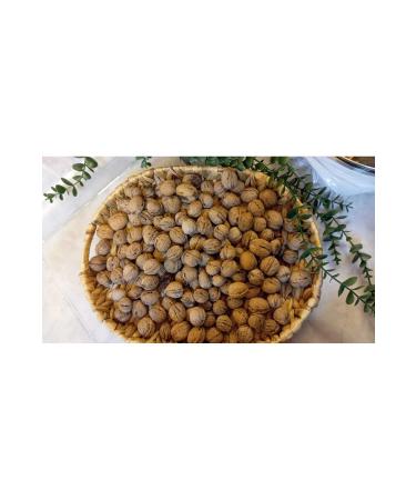 Lika Walnut - Buy Online on GoSupps.com