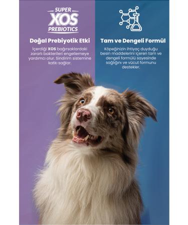 Reflex Plus Salmon Mini and Small Breed 8 Kg Adult Dog Food - Buy Online on GoSupps.com