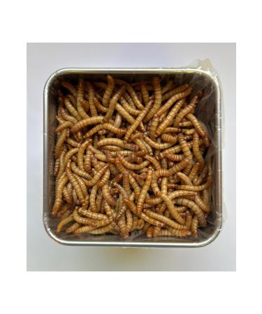 Innofeed Dried Freeze Dried Mealworm - Buy Online on GoSupps.com