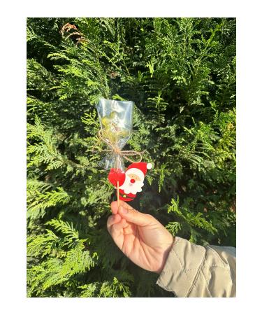 qurufit Dried Fruit Vegan Penguin Lollipop (5 Pieces) - Buy Online on GoSupps.com