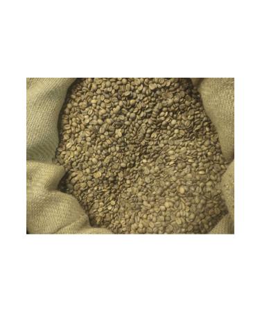TALAS Nuts Medium Roasted Coffee Beans 500G