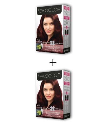 Easy Supply 2X2 Tube Cream Hair Dye Set Chestnut Red No: 4.6