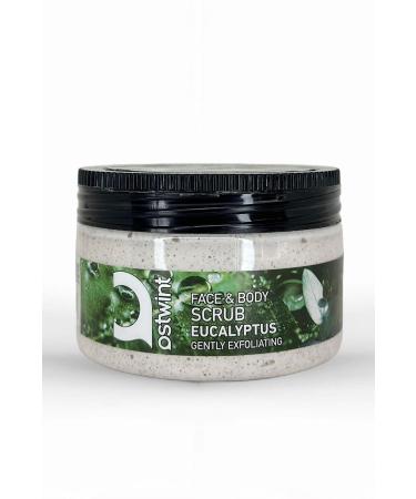 Ostwint Face and Body Peeling Scrub Eucalyptus 300ml Skin Cleanser Smoothing Circulation Accelerator