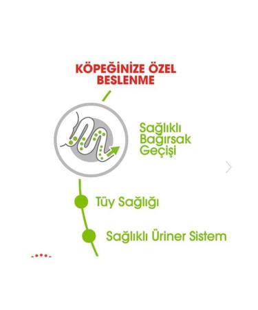 Royal Canin Dog Shn Xsmall Adult Dog Food 1.5 Kg - Buy Online on GoSupps.com