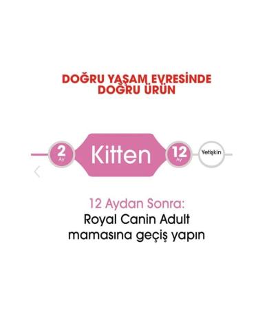 Royal Canin Kitten 36 Kitten Food 10kg - Buy Online on GoSupps.com