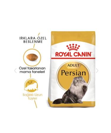 Royal Canin Adult Persian Iranian Cats Special 4 Kg Adult Dry Cat Food