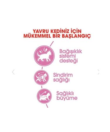 Royal Canin Kitten 36 Kitten Food 10kg - Buy Online on GoSupps.com