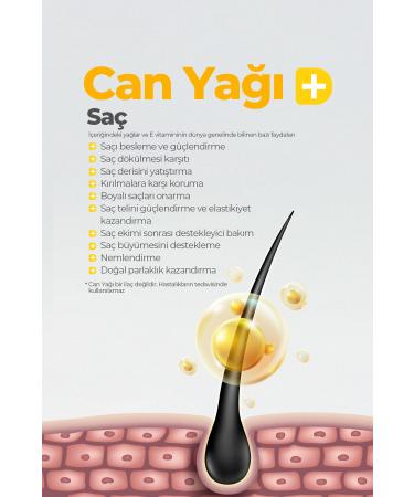 ZAROZA Life Oil - Nourishing Repairing Moisturizing Anti-Loss Care Oil for Face Hair Body 100ml - Buy Online on GoSupps.com