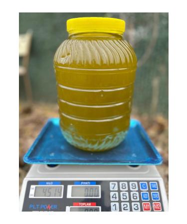 Extra Virgin Olive Oil