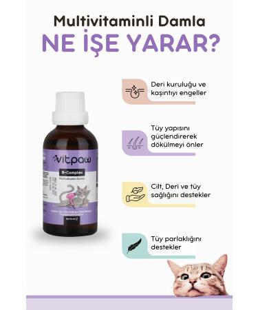 vitpaw B Complex Drops 50 Ml. (ANTI-SHEARING FOR CATS SKIN AND HAIR HEALTH BIOTIN DROP) - Buy Online on GoSupps.com