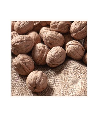 Koztepe Farm Shelled Walnuts 5 Kg - Buy Online on GoSupps.com