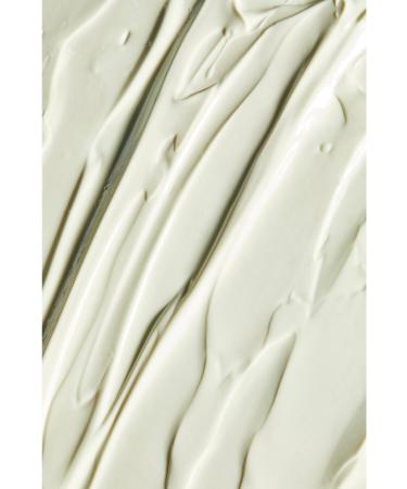 HISTOIRE NATURELLE Hn Lactobacillus Sunscreen 50 ml - Repairing Sun Cream with Prebiotics and Probiotics - Buy Online on GoSupps.com