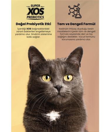 Reflex Plus Salmon 1.5 Kg Adult Cat Food - Buy Online on GoSupps.com