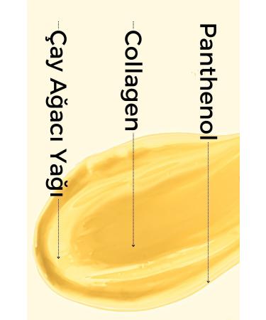 Green Label Greenlabel Anti-Acne Skin Care Cream with Tea Tree Oil 50ml. - Buy Online on GoSupps.com