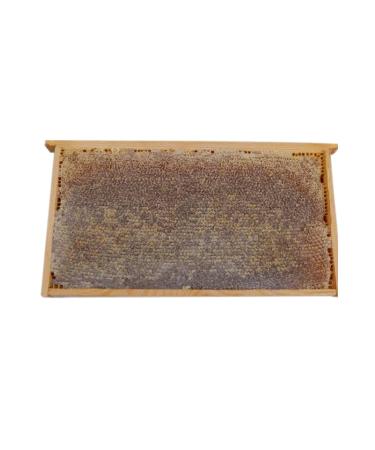 DOPING FOOD COMB HONEY 1 KG