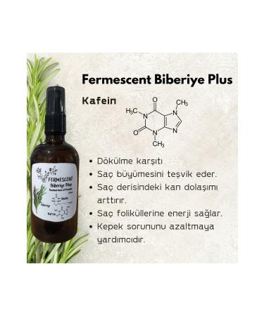 Fermescent Rosemary Plus - Rosemary Water Biotin Caffeine Premium Hair Care Anti-Loss 100 ml Rosemary - Buy Online on GoSupps.com