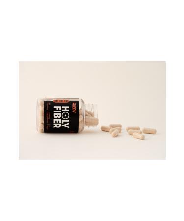 Redy HOLY FIBER - Buy Online on GoSupps.com