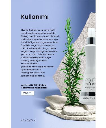 Momentum Hair Care Protection Mystic Potion 250 ml - Buy Online on GoSupps.com