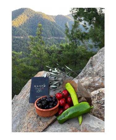 NASPO Gemlik Stone Printed Black Natural Olive 2KG - Buy Online on GoSupps.com