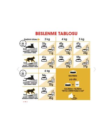 Royal Canin Adult Cat Food for Persian Cats 10kg - Buy Online on GoSupps.com