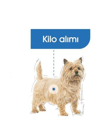 Royal Canin Light Weight Care Mini Adult Dog Food 3kg - Buy Online on GoSupps.com