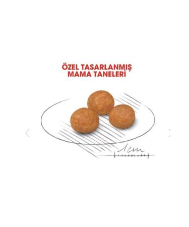 Royal Canin Dog Shn Xsmall Dog Food 3 Kg - Buy Online on GoSupps.com