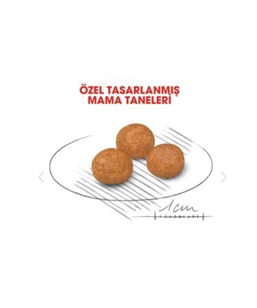 Royal Canin Dog Shn Xsmall Adult Dog Food 1.5 Kg - Buy Online on GoSupps.com