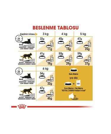 Royal Canin Adult Persian Iranian Cats Special 4 Kg Adult Dry Cat Food - Buy Online on GoSupps.com